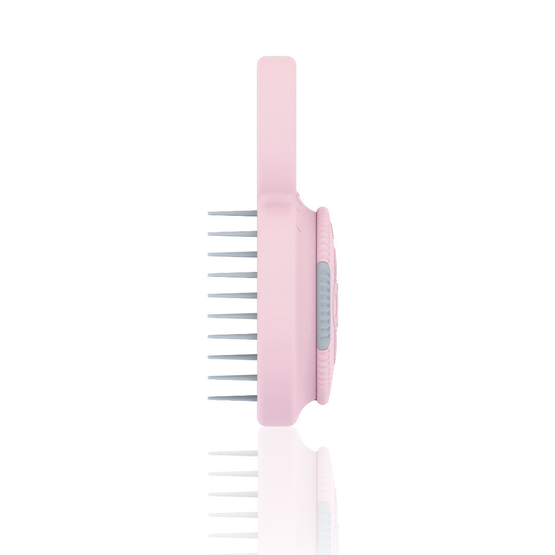 The One Brush Mini