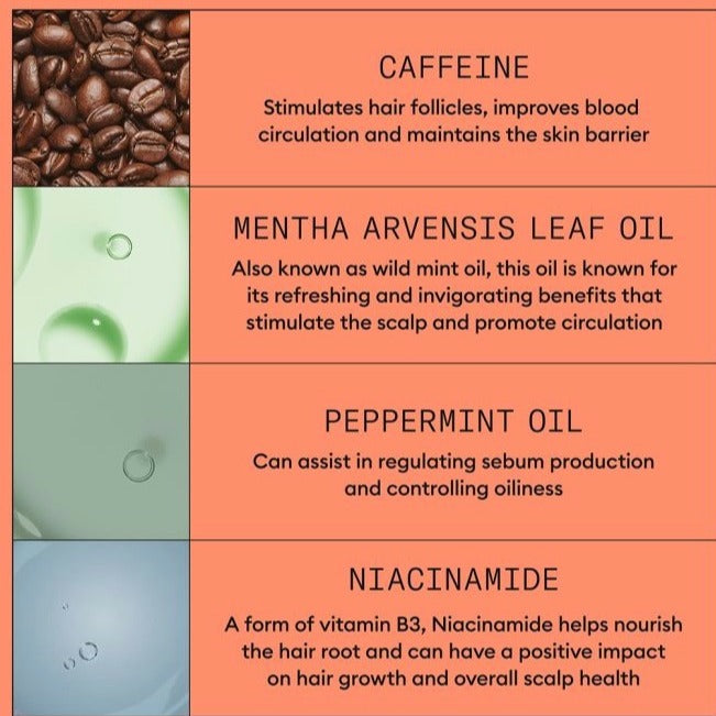 NIOXIN Hair Starter Kit System 4 for Coloured Treated Hair with Progressed Thinning