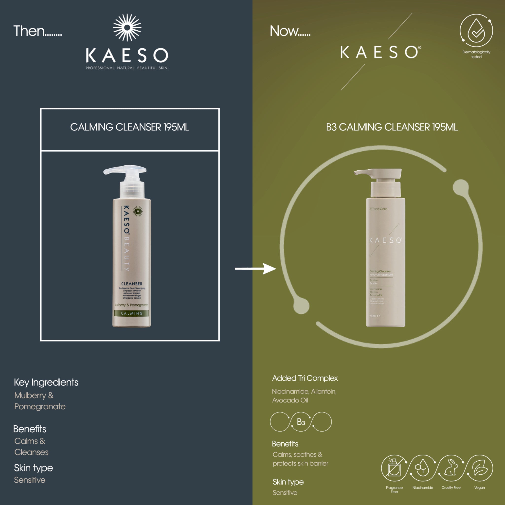 Kaeso B3 Calming Cleanser 195ml
