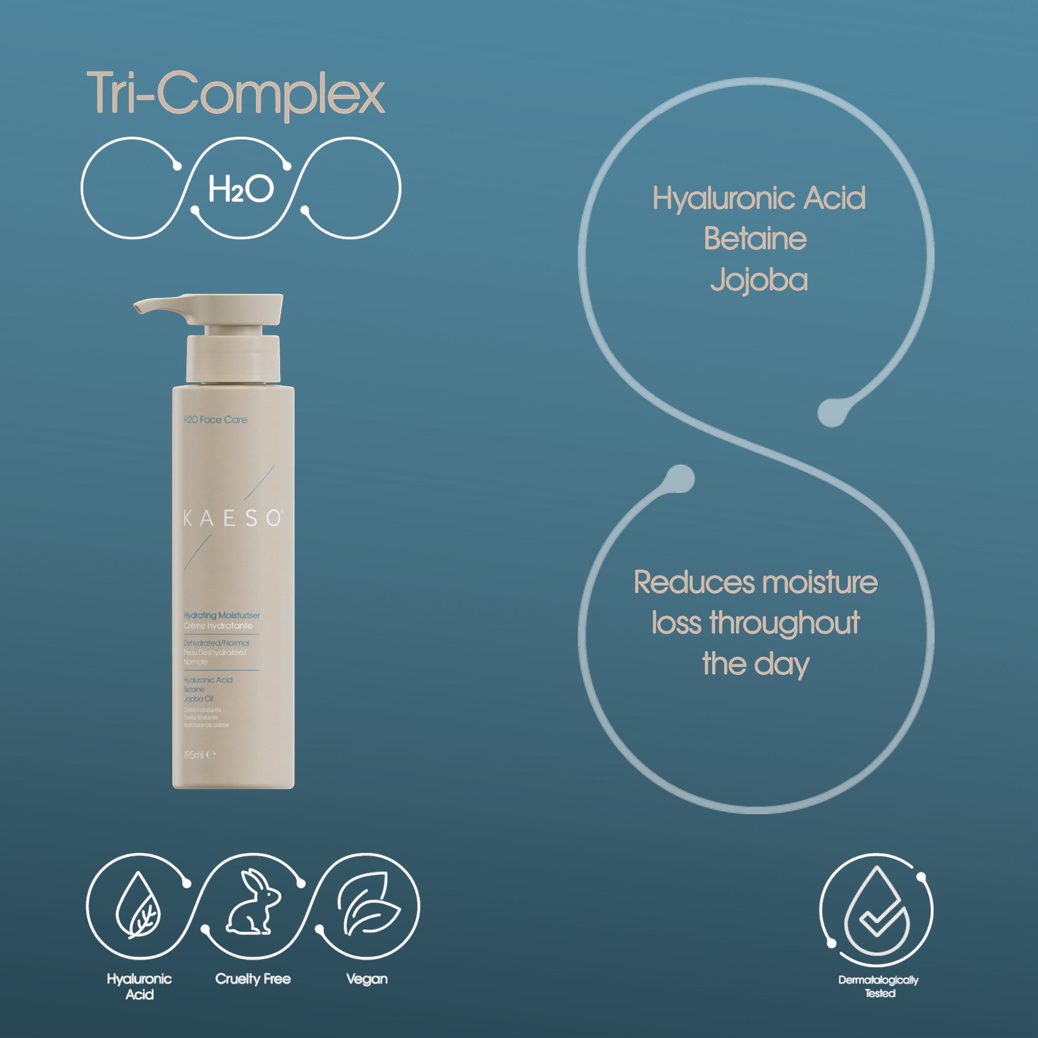 Kaeso Hydrating Moisturiser 495ml