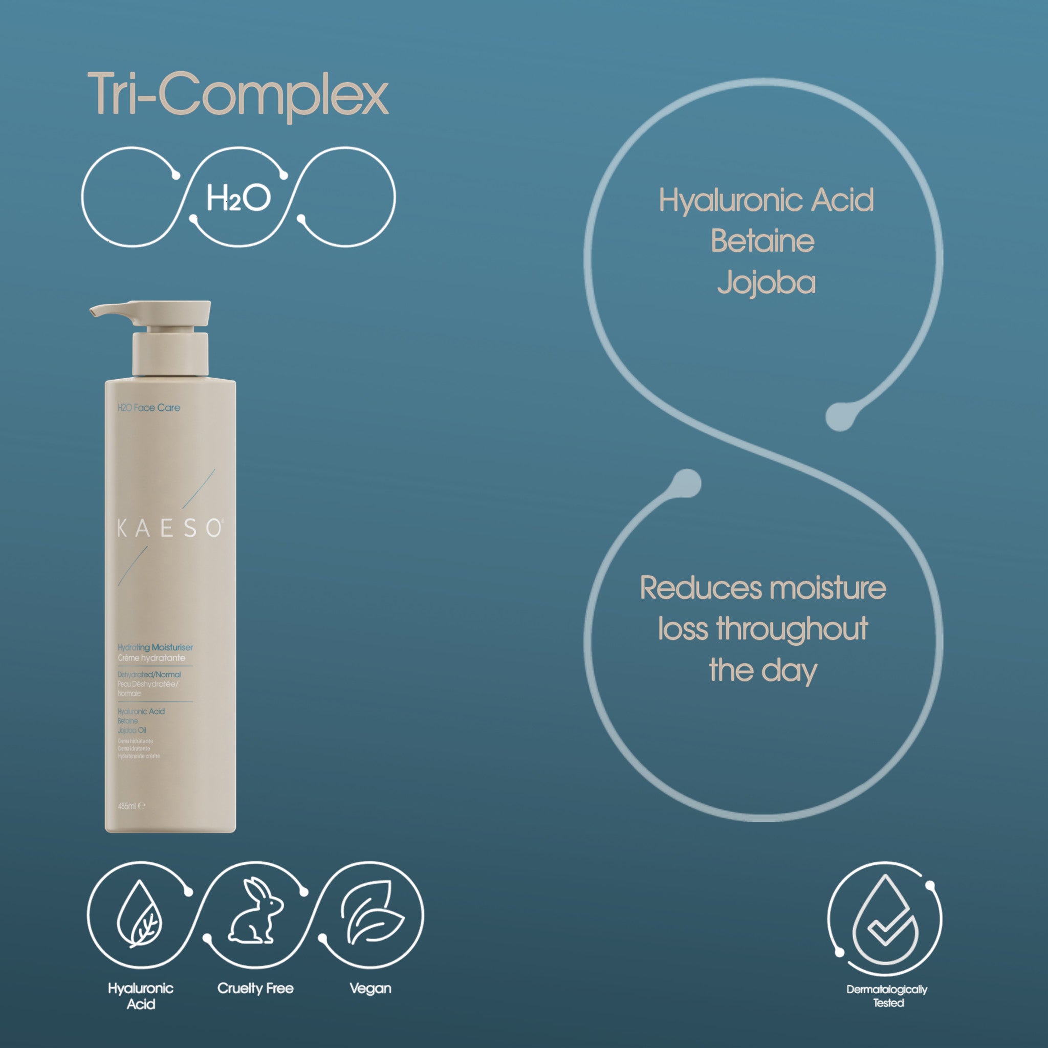 Kaeso Hydrating Moisturiser 495ml