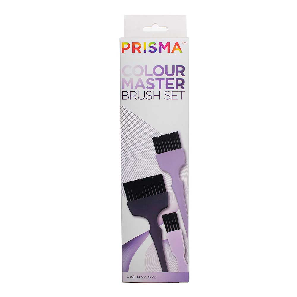 PRISMA Master Tinting Brush Set 6 pcs